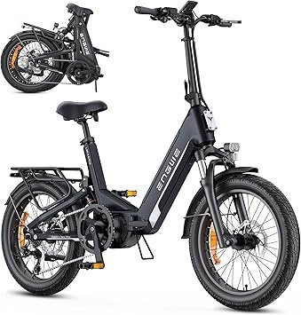 Electric Bike with APP & IoT (48V 15Ah, Torque Sensor, Hydraulic Brakes) – Produktbeschreibung: