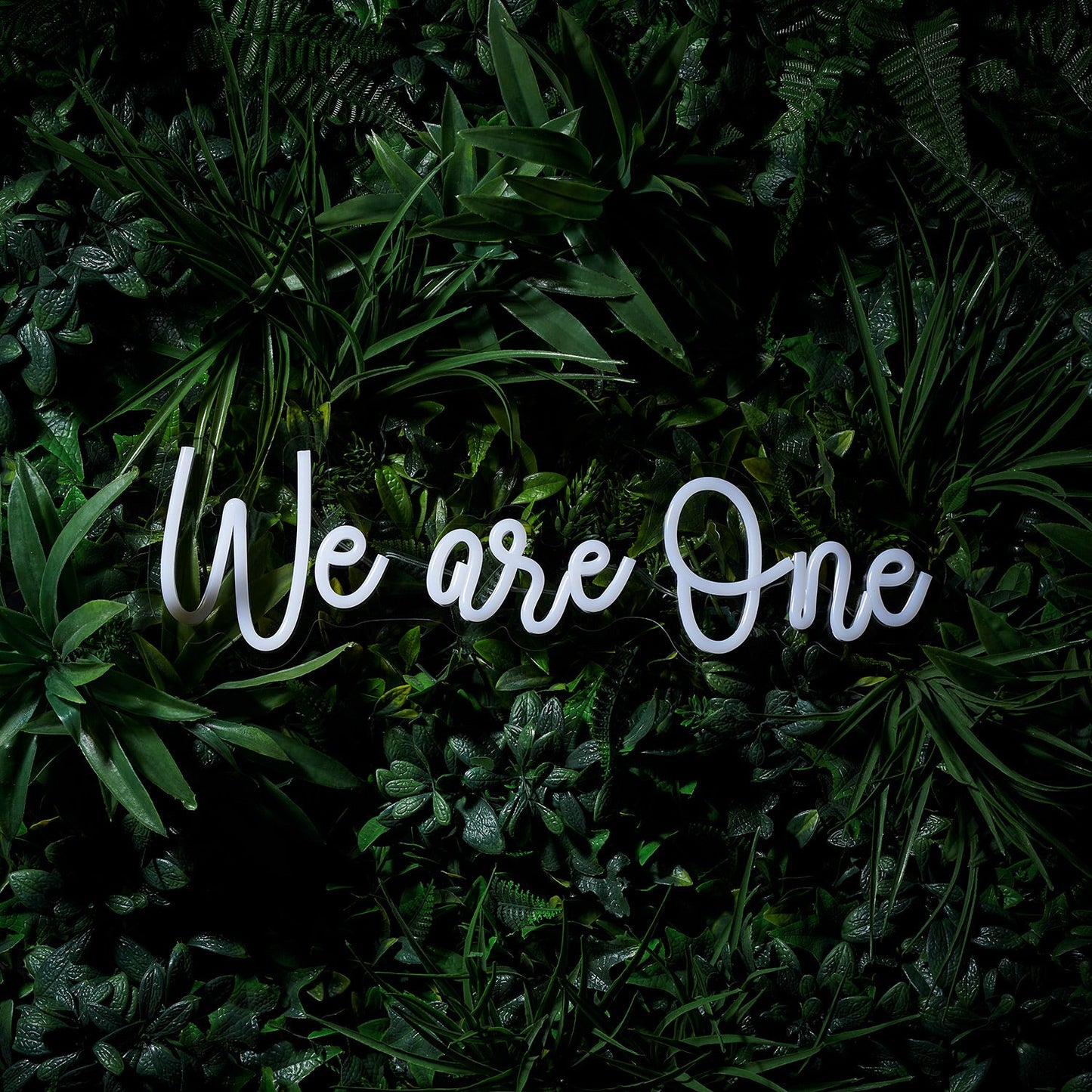 LED Neon Schriftzug We are One