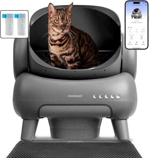 Neakasa M1 Oben offene Katzenklo – Selbstreinigende XXL Katzentoilette